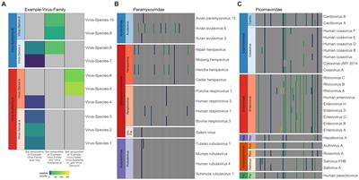 Applications of VirScan to broad serological profiling of bat reservoirs for emerging zoonoses